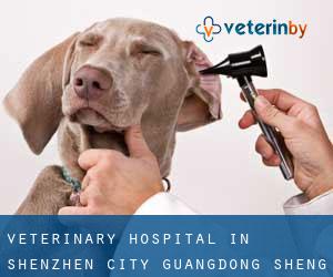 Veterinary Hospital in Shenzhen (City) (Guangdong Sheng)