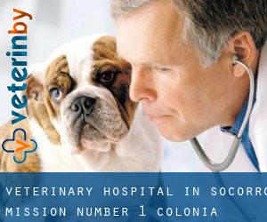 Veterinary Hospital in Socorro Mission Number 1 Colonia