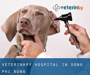 Veterinary Hospital in Song Phi Nong