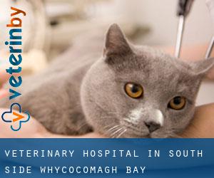Veterinary Hospital in South Side Whycocomagh Bay
