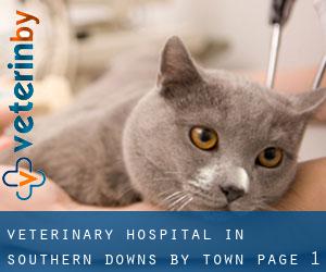 Veterinary Hospital in Southern Downs by town - page 1