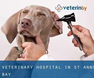 Veterinary Hospital in St Ann's Bay