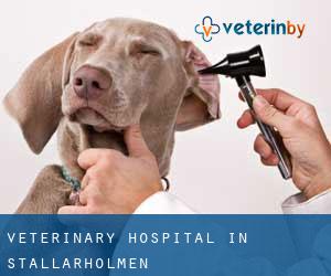 Veterinary Hospital in Stallarholmen