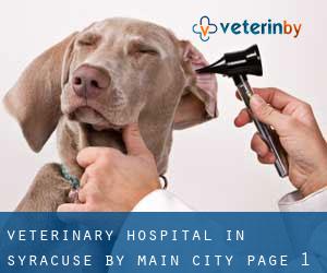 Veterinary Hospital in Syracuse by main city - page 1