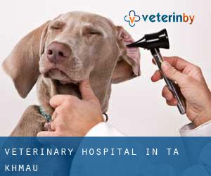 Veterinary Hospital in Ta Khmau