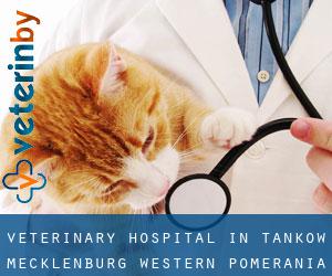 Veterinary Hospital in Tankow (Mecklenburg-Western Pomerania)