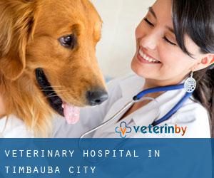 Veterinary Hospital in Timbaúba (City)