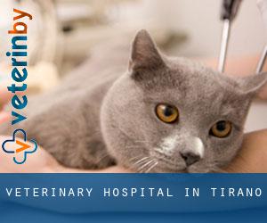 Veterinary Hospital in Tirano