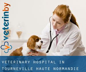Veterinary Hospital in Tourneville (Haute-Normandie)