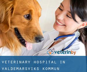 Veterinary Hospital in Valdemarsviks Kommun