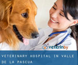 Veterinary Hospital in Valle de La Pascua