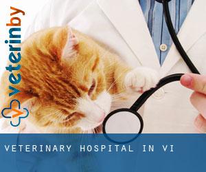 Veterinary Hospital in Vi