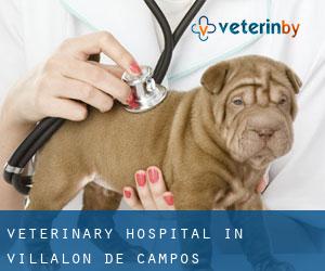 Veterinary Hospital in Villalón de Campos