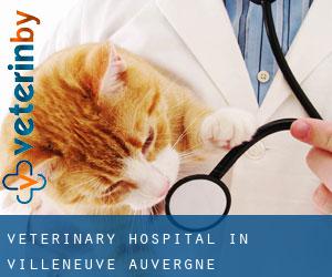 Veterinary Hospital in Villeneuve (Auvergne)