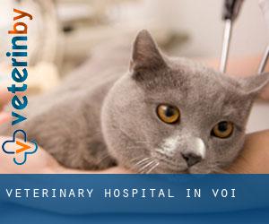 Veterinary Hospital in Voi