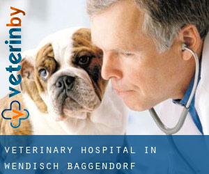 Veterinary Hospital in Wendisch Baggendorf