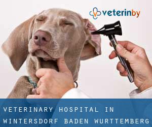 Veterinary Hospital in Wintersdorf (Baden-Württemberg)