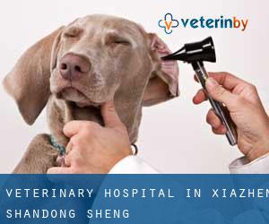 Veterinary Hospital in Xiazhen (Shandong Sheng)