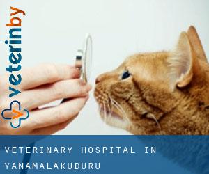 Veterinary Hospital in Yanamalakuduru