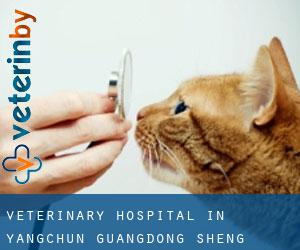 Veterinary Hospital in Yangchun (Guangdong Sheng)