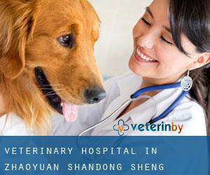 Veterinary Hospital in Zhaoyuan (Shandong Sheng)