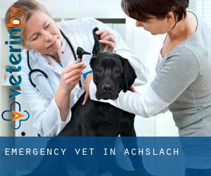 Emergency Vet in Achslach