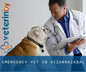 Emergency Vet in Aizarnazabal