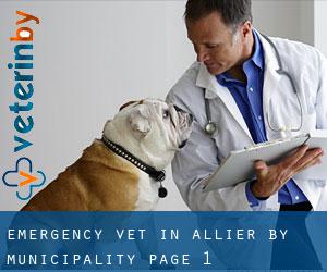 Emergency Vet in Allier by municipality - page 1