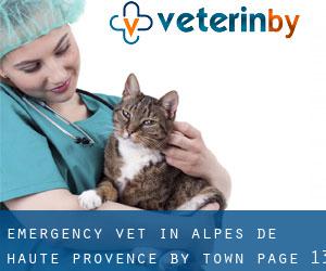 Emergency Vet in Alpes-de-Haute-Provence by town - page 13