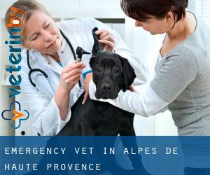 Emergency Vet in Alpes-de-Haute-Provence