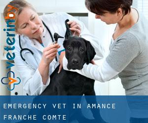 Emergency Vet in Amance (Franche-Comté)