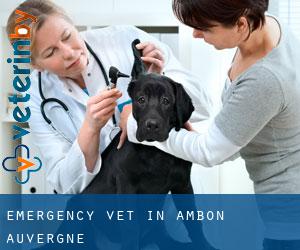 Emergency Vet in Ambon (Auvergne)