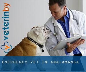 Emergency Vet in Analamanga