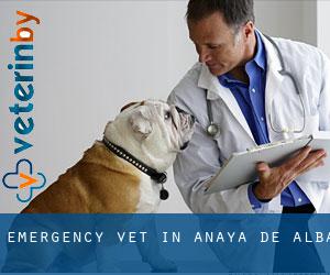 Emergency Vet in Anaya de Alba