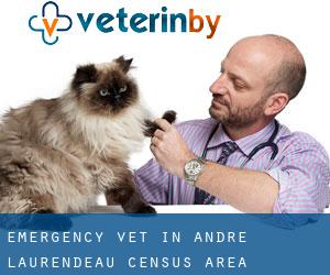 Emergency Vet in André-Laurendeau (census area)