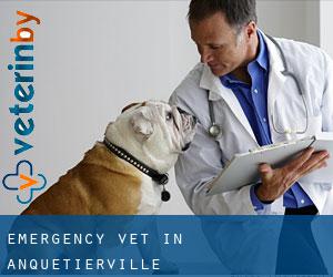 Emergency Vet in Anquetierville