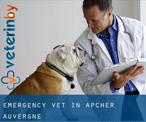 Emergency Vet in Apcher (Auvergne)