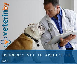 Emergency Vet in Arblade-le-Bas