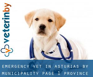 Emergency Vet in Asturias by municipality - page 1 (Province)