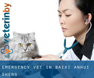 Emergency Vet in Baixi (Anhui Sheng)