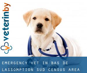 Emergency Vet in Bas-de-L'Assomption-Sud (census area)