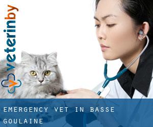 Emergency Vet in Basse-Goulaine