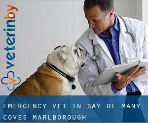 Emergency Vet in Bay of Many Coves (Marlborough)