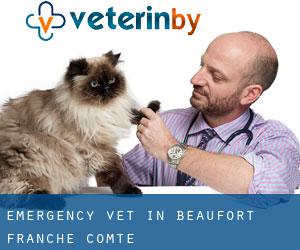 Emergency Vet in Beaufort (Franche-Comté)