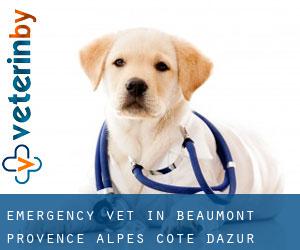 Emergency Vet in Beaumont (Provence-Alpes-Côte d'Azur)