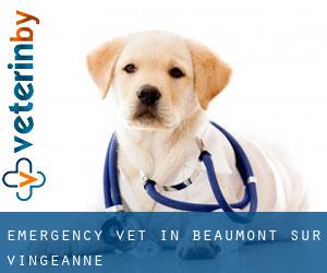 Emergency Vet in Beaumont-sur-Vingeanne
