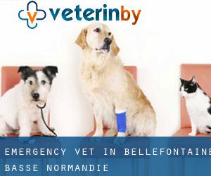 Emergency Vet in Bellefontaine (Basse-Normandie)