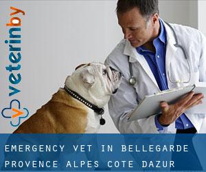 Emergency Vet in Bellegarde (Provence-Alpes-Côte d'Azur)