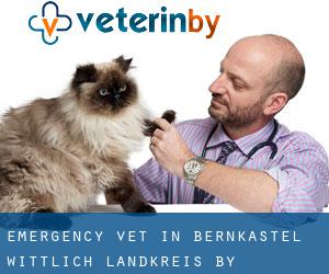 Emergency Vet in Bernkastel-Wittlich Landkreis by metropolis - page 1