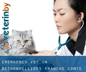 Emergency Vet in Bethonvilliers (Franche-Comté)